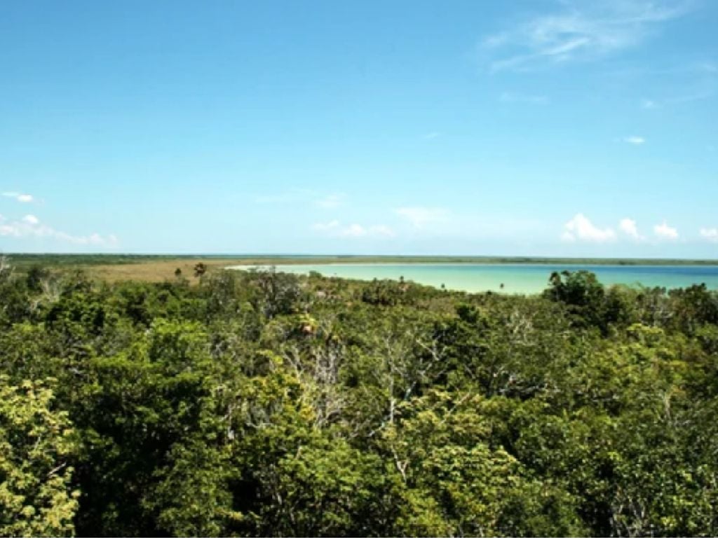 Esta región del país es rica en ecosistemas de tipo costero.