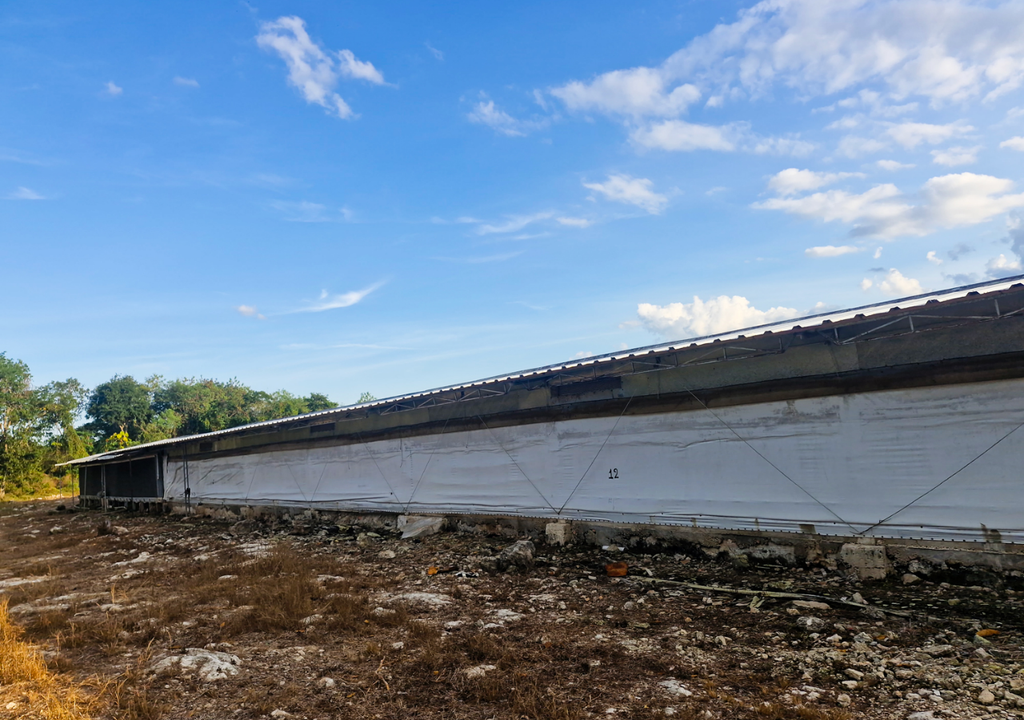 mal uso del suelo; ilegal; tala; desmonte; selva yucateca; biodiversidad; riesgo; gestion ambiental