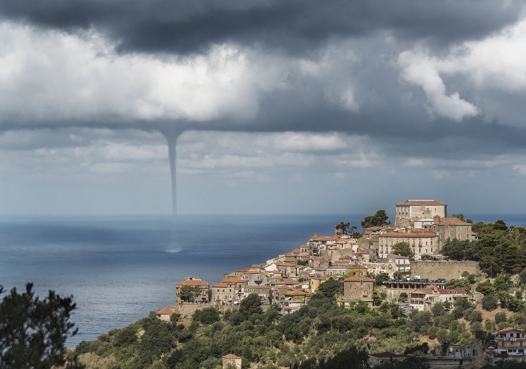 tromba-marina tromba-marina