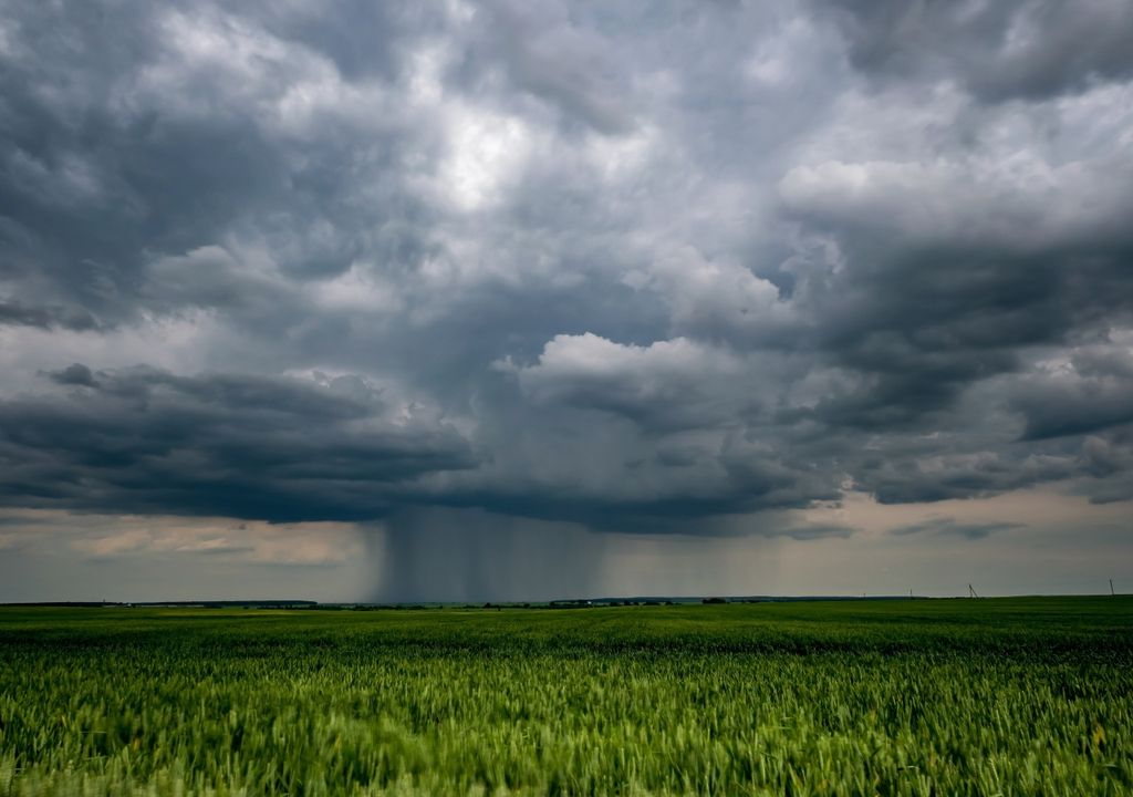 El Niño otoño lluvias Argentina Clima tiempo pronóstico El Niño otoño lluvias Argentina Clima tiempo pronóstico