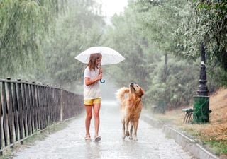 Clima: ¿cómo seguirá el resto del año?