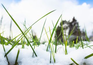 Fim do bloqueio também pode trazer episódio de neve! Quais as chances?