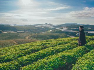 Clima de Setembro: previsão e impactos
