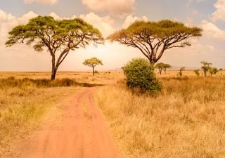 Clima e seus impactos em África: presente e futuro