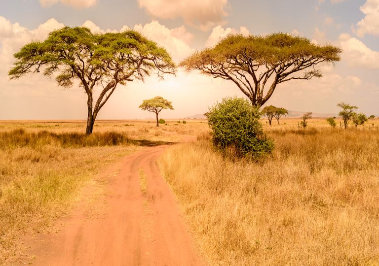 temperaturas; África; temperaturas; África;