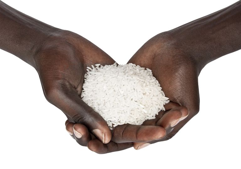 Cultura do arroz; Cultura do arroz;