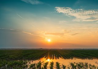 O clima no Brasil em setembro: um mês mais quente, com possibilidade de bloqueios e com chuvas no início da primavera