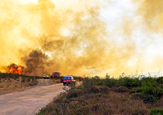 Clima extremo e vegetação densa: perito explica principais fatores por detrás do risco de incêndios florestais 