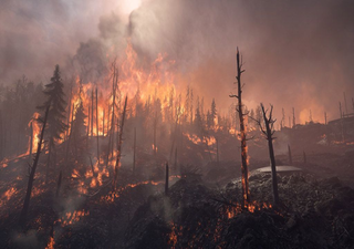 Clima extremo na Sibéria: de incêndios a degelos!