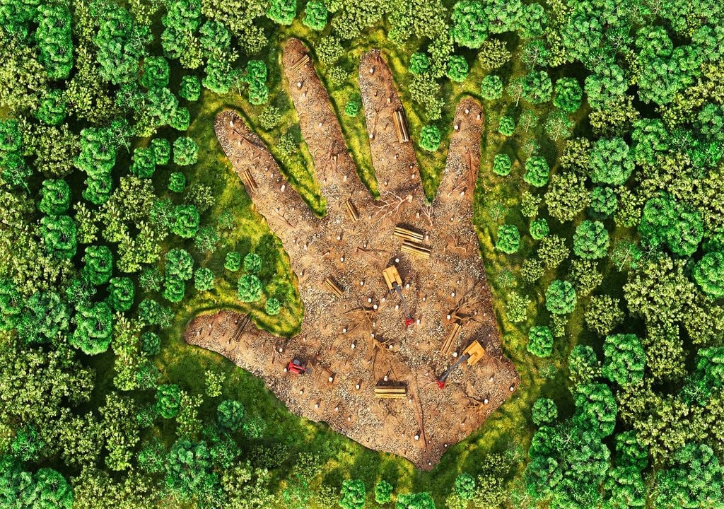 Deforestación, forma mano, bosque tropical