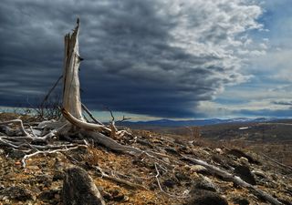 Clima, undicimila ricercatori dichiarano: "è emergenza climatica"