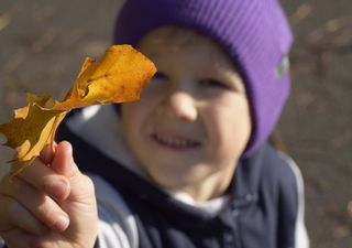 Otoño 2023 en Chile: ¿qué regiones pueden recibir más lluvias en el país?