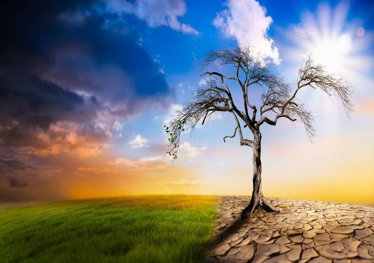 Alterações climáticas Alterações climáticas