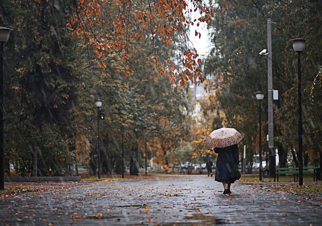 Día lluvioso; parque; otoño