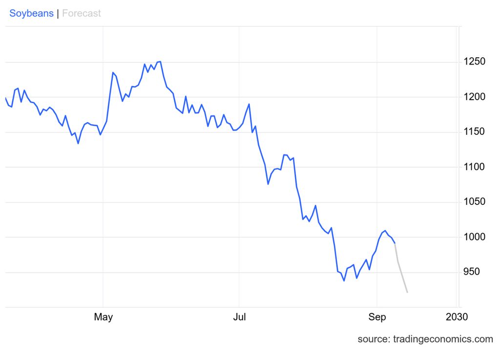 Soja, trading, Brazil