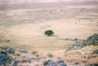 Climat : l'année 2021 est la cinquième année la plus chaude sur Terre