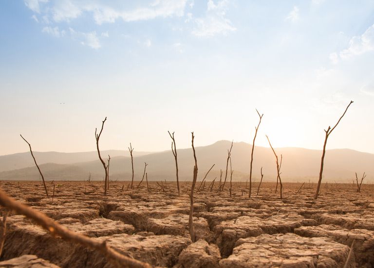 Climat : le nombre de jours à 50°C a doublé depuis 1980 ! Climat : le nombre de jours à 50°C a doublé depuis 1980 !