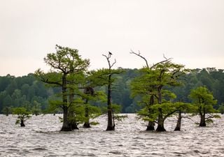 Climate change increasing the risk of Californian megaflood