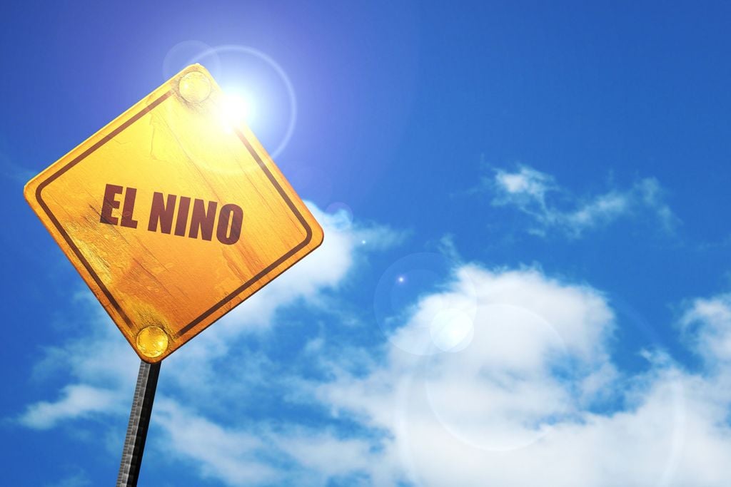 Warmer temperatures are forecast even without el Nino.