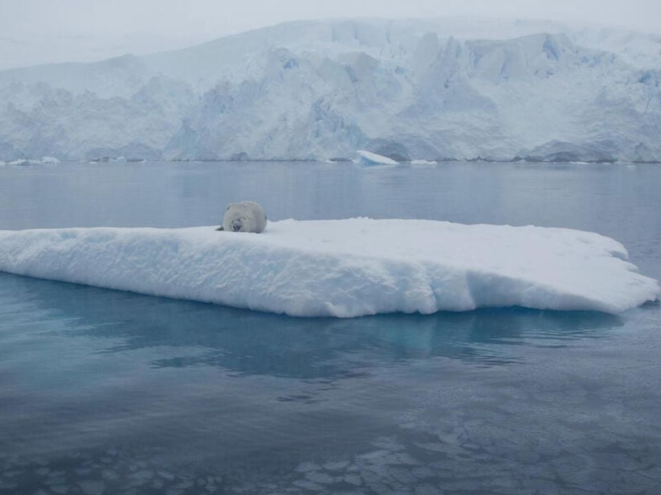 Cambio climático: el deshielo polar ralentiza la rotación terrestre causando impacto en el horario mundial . Noticias en tiempo real