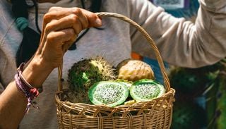 Cocina diaguita: c&oacute;mo los frutos del desierto y la caza dieron forma a una gastronom&iacute;a &uacute;nica en el Norte Chico