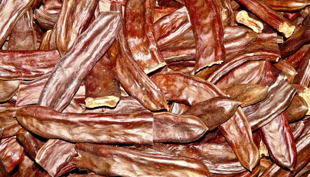 Vainas de algarroba, frutos del algarrobo. Los frutos del algarrobo son uno de los pilares de la cocina diaguita.