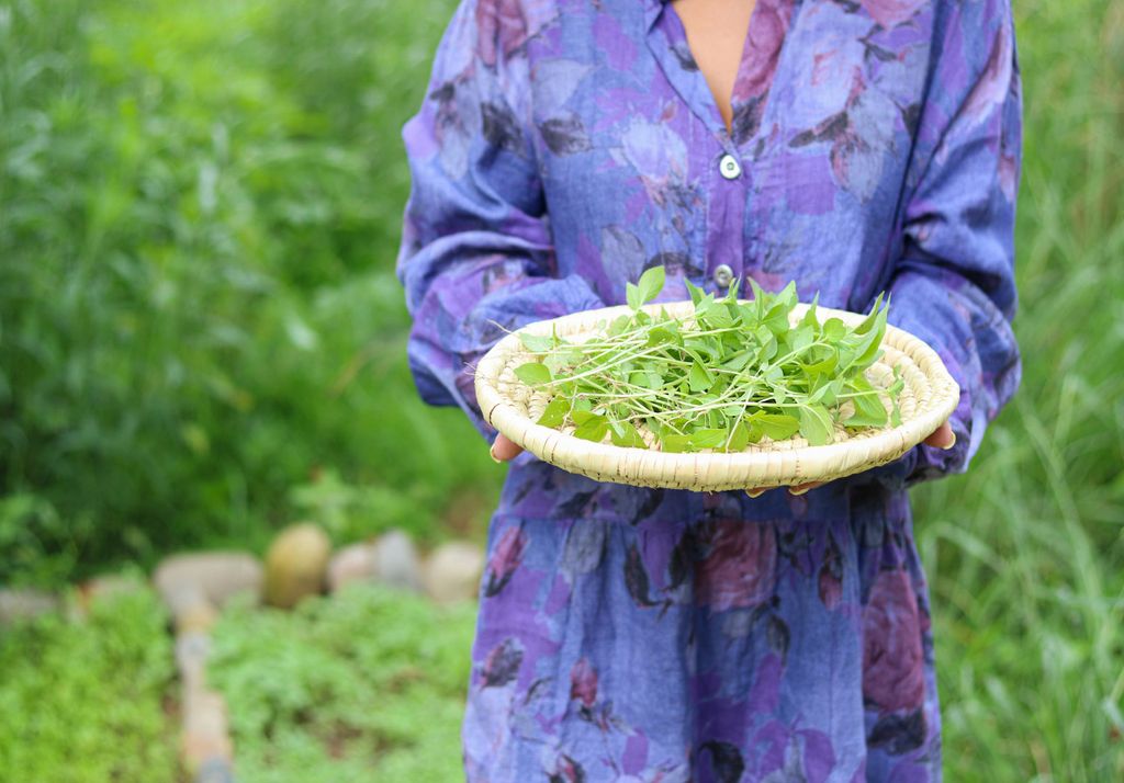alimentación sostenible