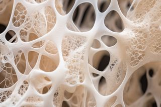 Cogumelos no lugar da carne? Estudo aponta que fungos serão importante fonte de proteína no futuro