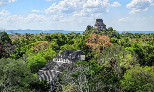 El colapso de la civilización maya: la sequía no lo explica todo, según los científicos de la Universidad de Montreal