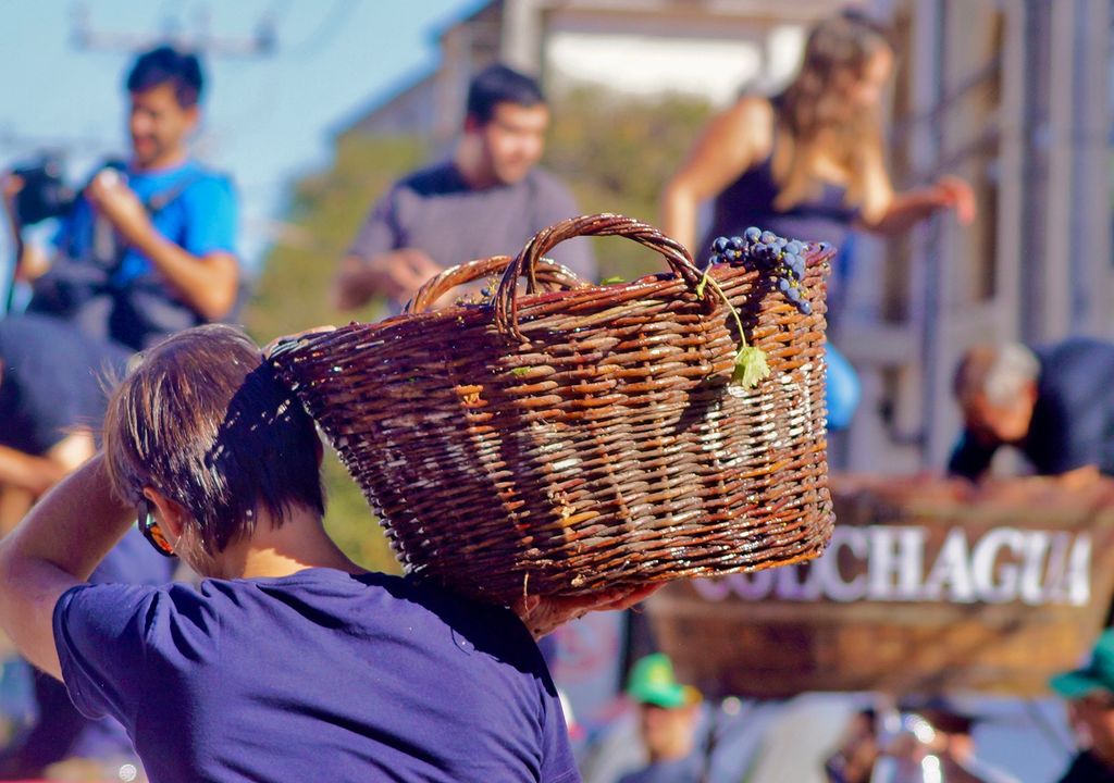 Pisada de uva en Fiesta de la Vendimia de Colchagua. Pisada de uva en Fiesta de la Vendimia de Colchagua.