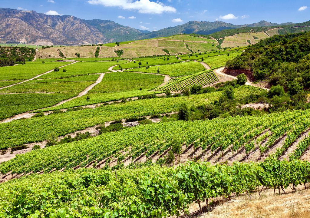Paisajes del Valle de Colchagua. Paisajes del Valle de Colchagua.