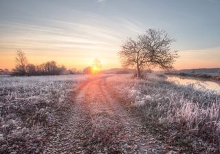 Cold air will plunge the country into winter, bringing snow for some