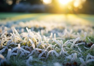 UK weather: Cold and foggy but turning unsettled and wet as we head into Meteorological Winter