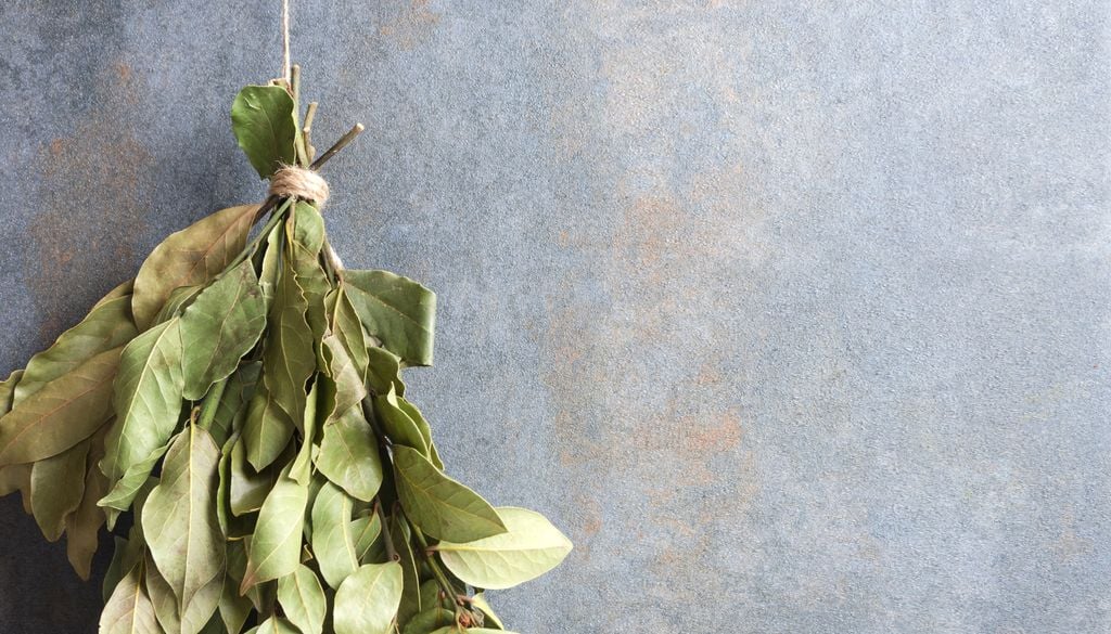 ¿Ciencia o superstición? Descubrimos qué hay de cierto en colgar hojas de laurel cerca de puertas y ventanas.