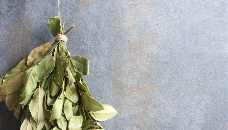 Colgar hojas de laurel en las ventanas del dormitorio: los expertos explican para qu&eacute; sirve y si vale la pena