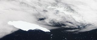 Colisión en curso de un gran iceberg con Georgia del Sur