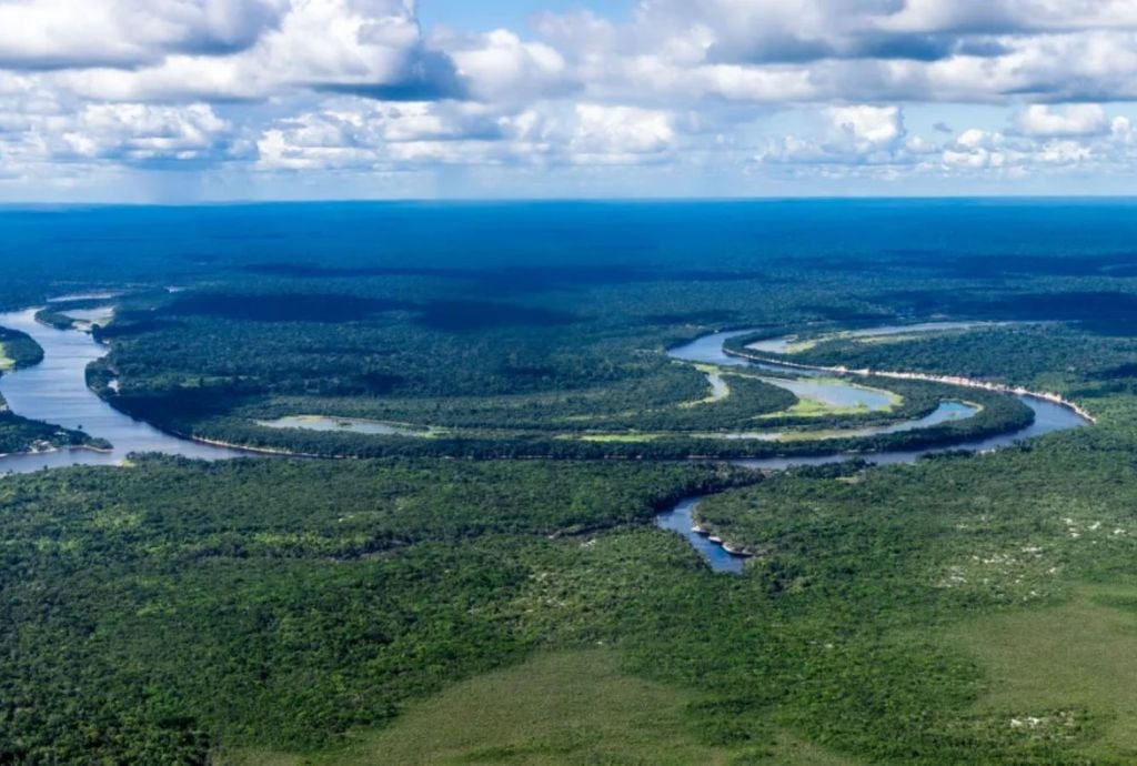 La preservación de la Amazonía será debatida en una cumbre en la ciudad brasileña de Belém, en la Región Norte del país, en el estado de Pará (Jens Büttner/picture alliance vía Getty Images)