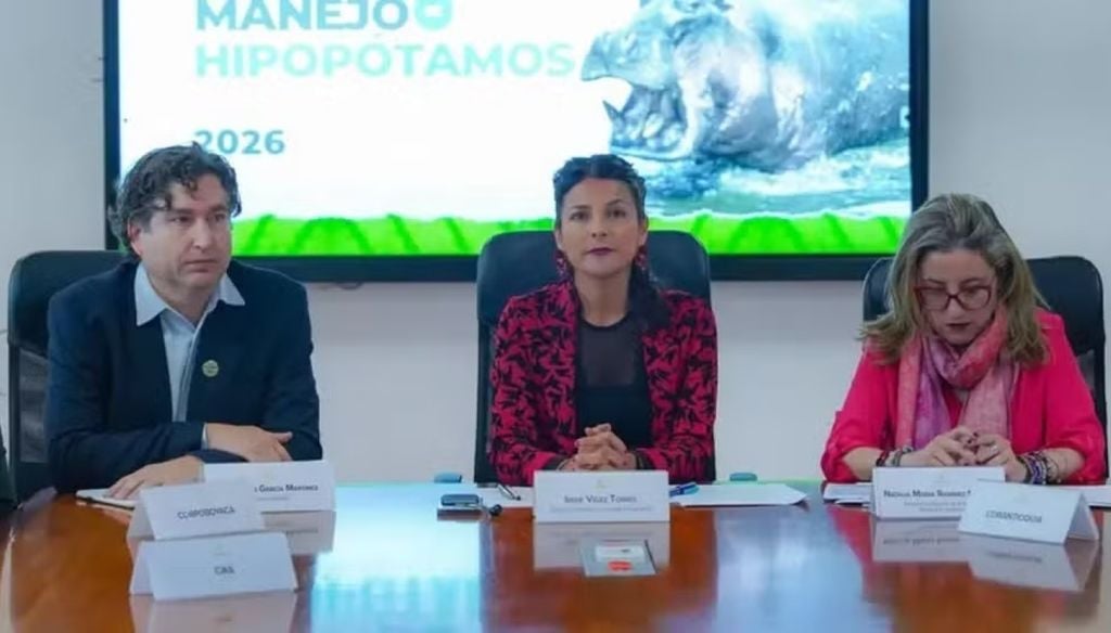 A ministra do Meio Ambiente, Irene Vélez (ao centro), anunciou nesta segunda-feira que o governo dará início ao sacrifício de hipopótamos. Crédito: X/@MinAmbienteCo