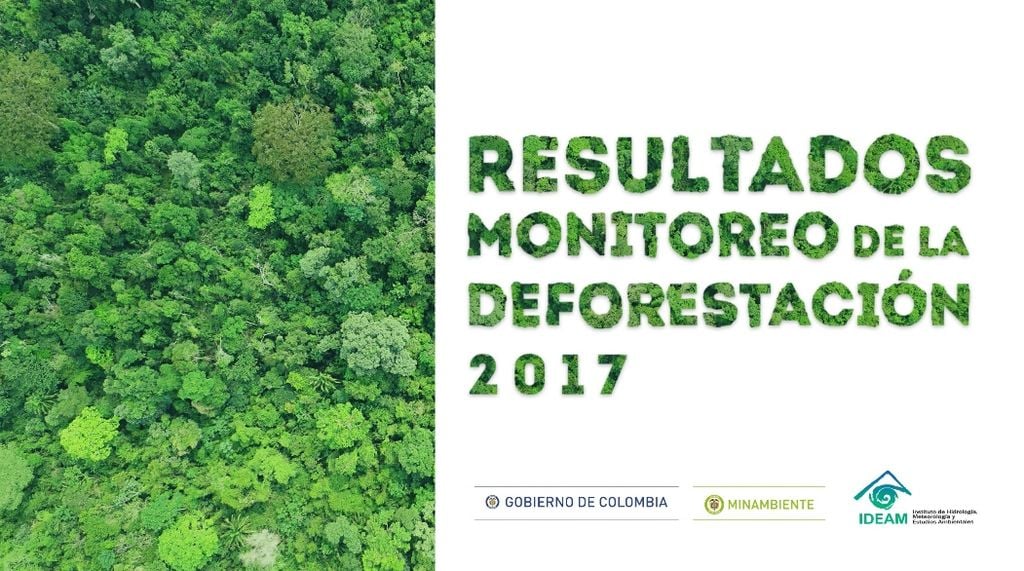 Colombia Y La Desforestación En 2017