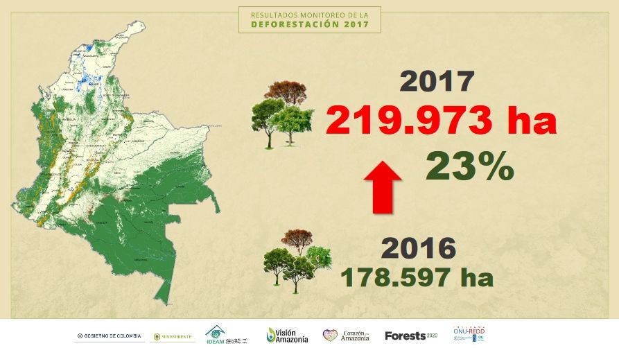 Colombia Y La Desforestación En 2017 Colombia Y La Desforestación En 2017