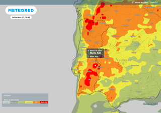 Com a chegada do calor na reta final da semana, as poeiras regressam e os níveis de pólen aumentam em Portugal