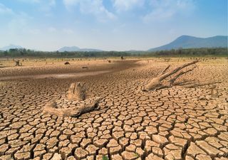 Com a crise climática maior parte dos refugiados ambientais são mulheres e crianças