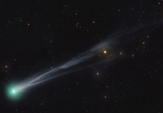 Come e quando vedere la cometa Lemmon questa settimana: consigli per osservare già oggi la sua brillante coda blu
