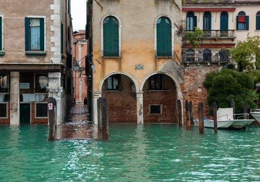 Come fanno le piante di Venezia a sopravvivere all'acqua salata che invade la citt&agrave;