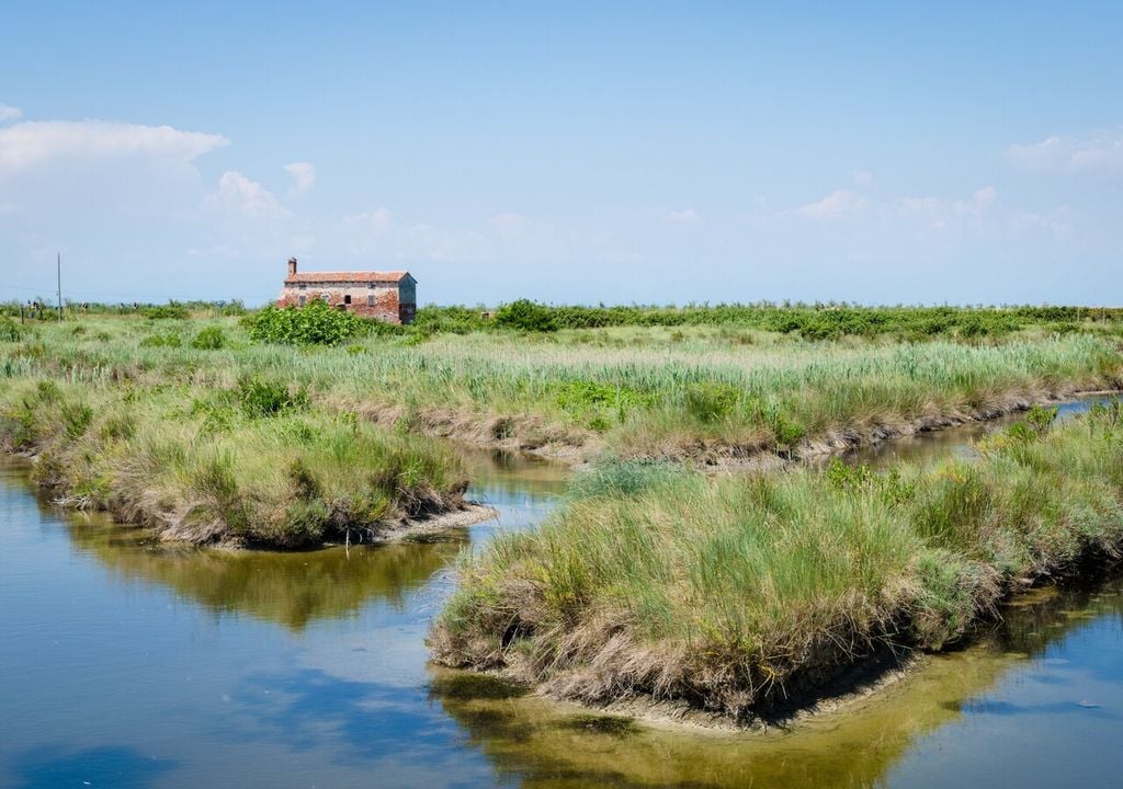 Barene nella laguna nord di Venezia