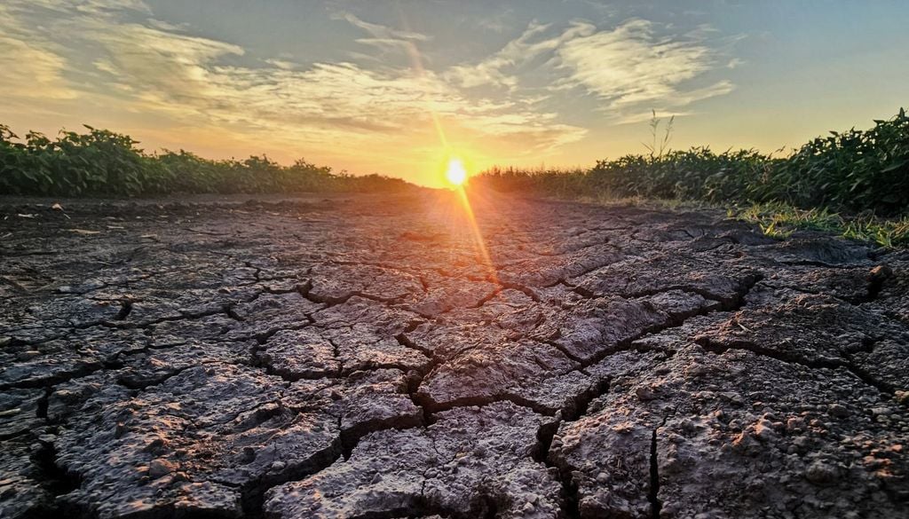 Siccità La siccità, una delle conseguenze del riscaldamento globale
