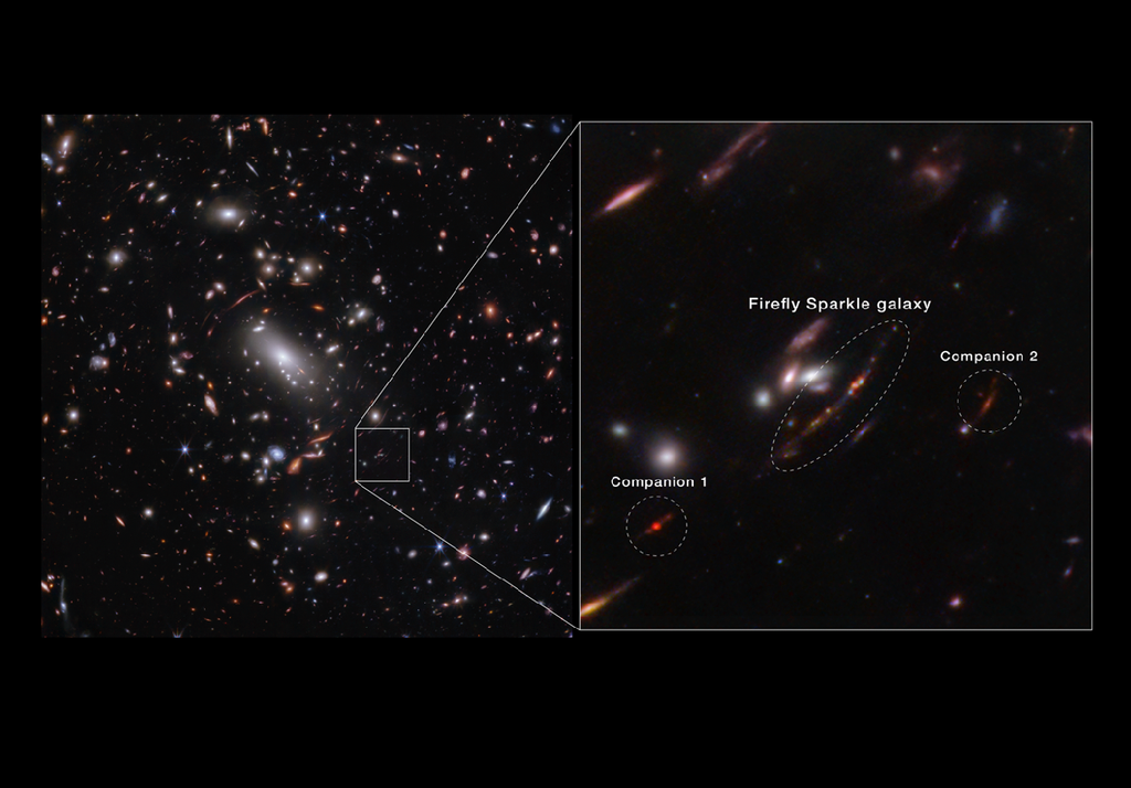 Zoom su galassia lucciola