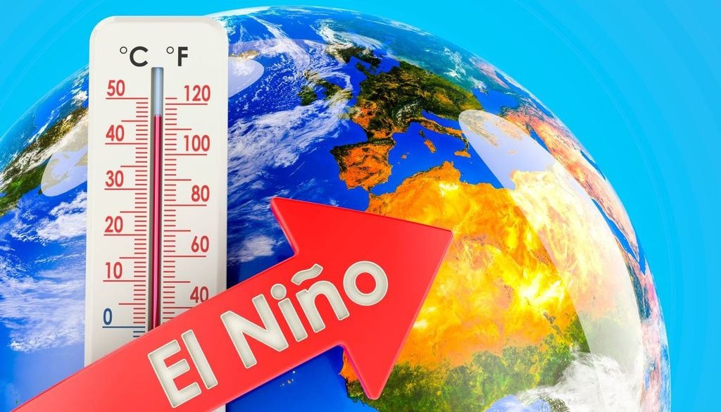 Le onde di Kelvin oceaniche sono spesso il segnale precursore della nascita di un El Niño.