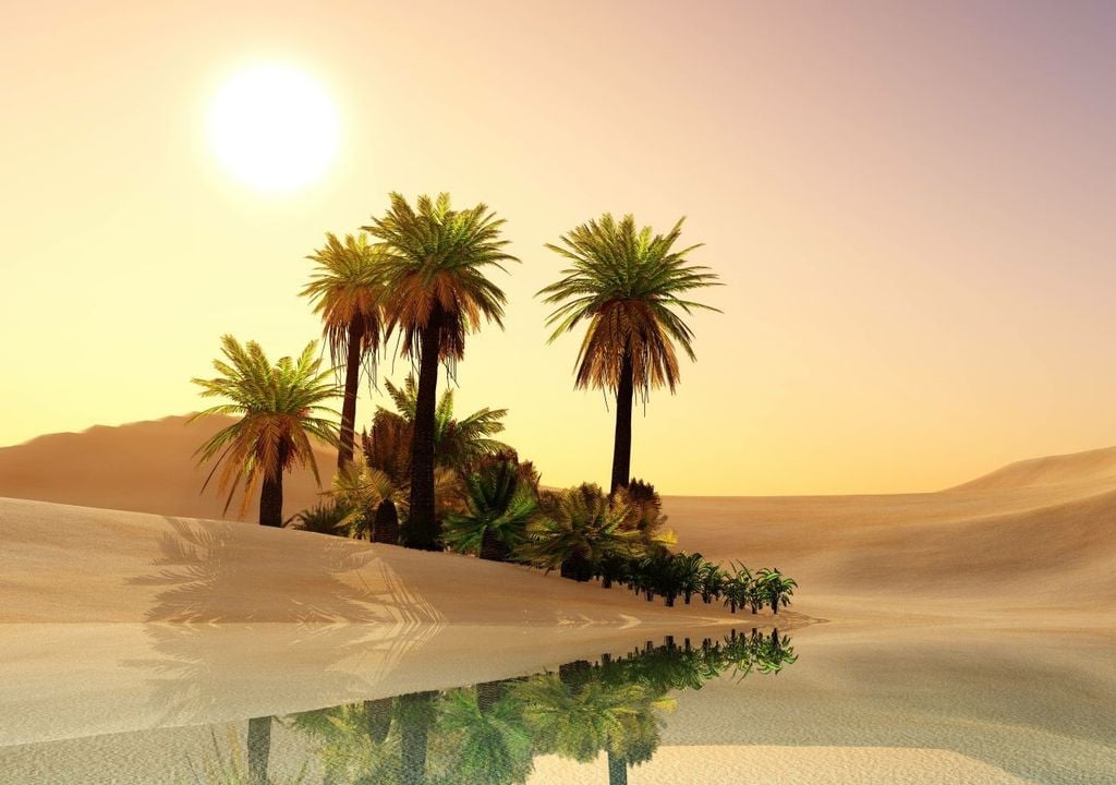 Dans tous les déserts du monde, en particulier les plus inhospitaliers comme le Sahara, il existe des zones où l'eau, accumulée dans de grandes couches souterraines, parvient à couler à la surface, donnant naissance aux fameuses oasis.