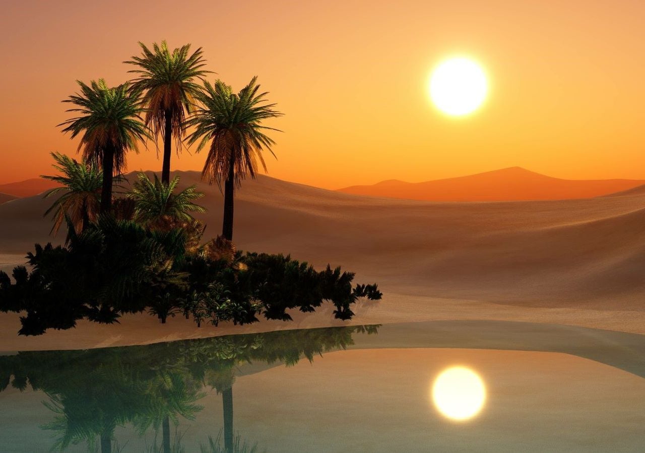 Tenture Murale 'Oasi Nel Deserto' - Scènes De Vie - Marque Vita